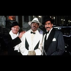 Meet your Posher, Bernard